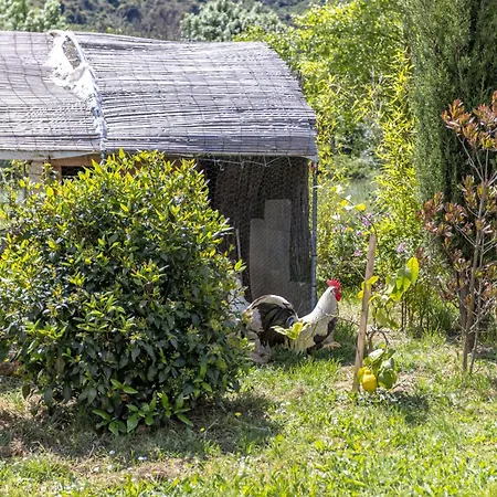 База отдыха Les Casots Rouffiac-des-Corbieres