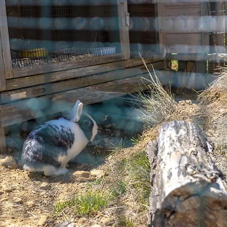 Les Casots